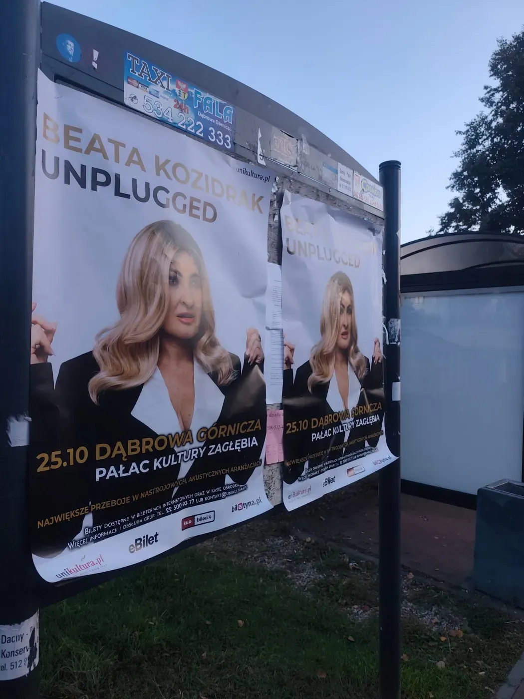 Dwa plakaty Beata Kozidrak Unplugged na tablicy ogłoszeniowej obok wiaty przystankowej