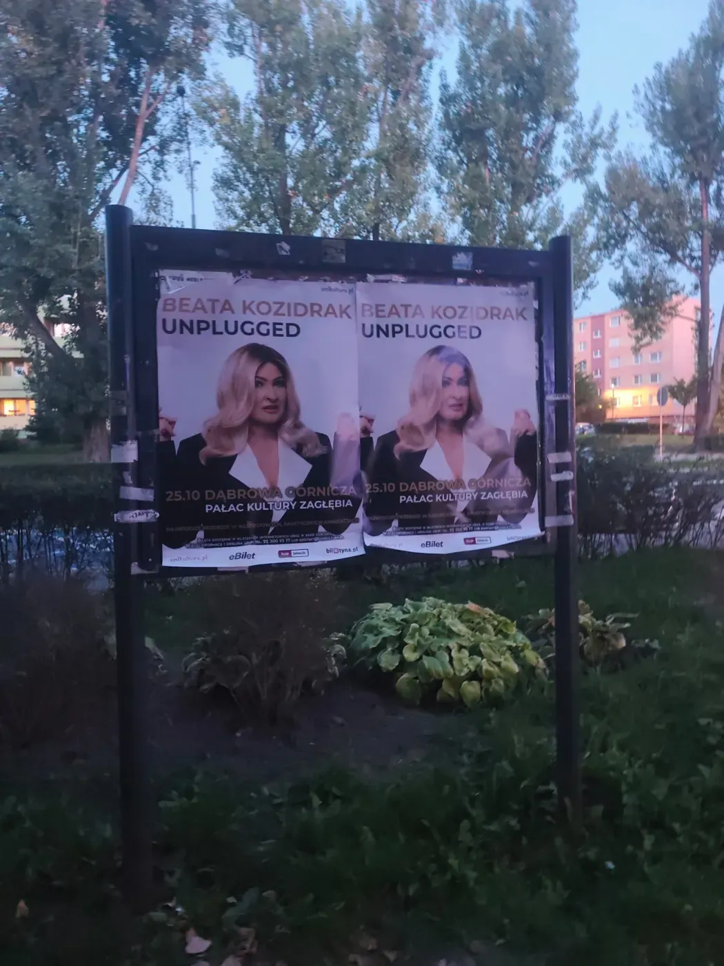 Tablica z plakatami koncertu Beata Kozidrak Unplugged na tle osiedlowej zieleni i bloków