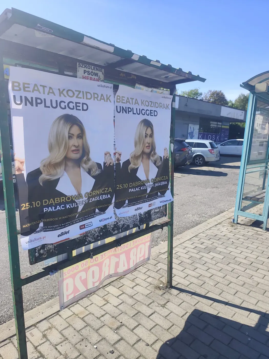 Plakaty koncertu Beata Kozidrak Unplugged na tablicy przy przystanku w Jaworznie
