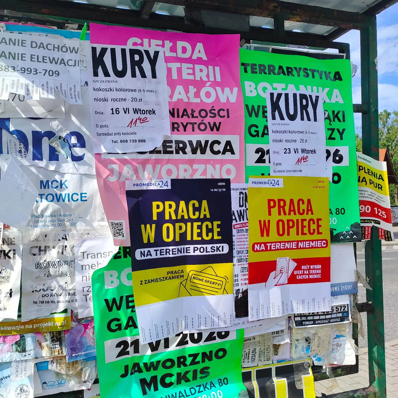 Praca w opiece - plakat na słupie ogłoszeniowym w Jaworznie