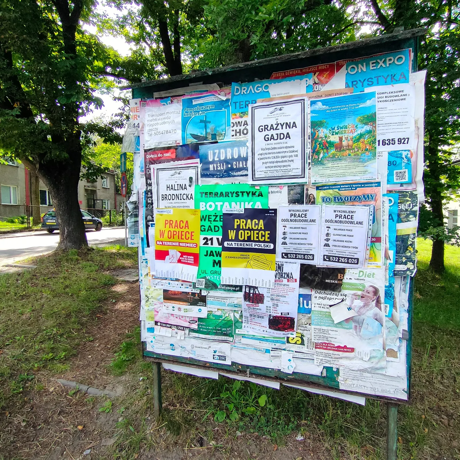 Praca w opiece - plakat na słupie ogłoszeniowym w Jaworznie