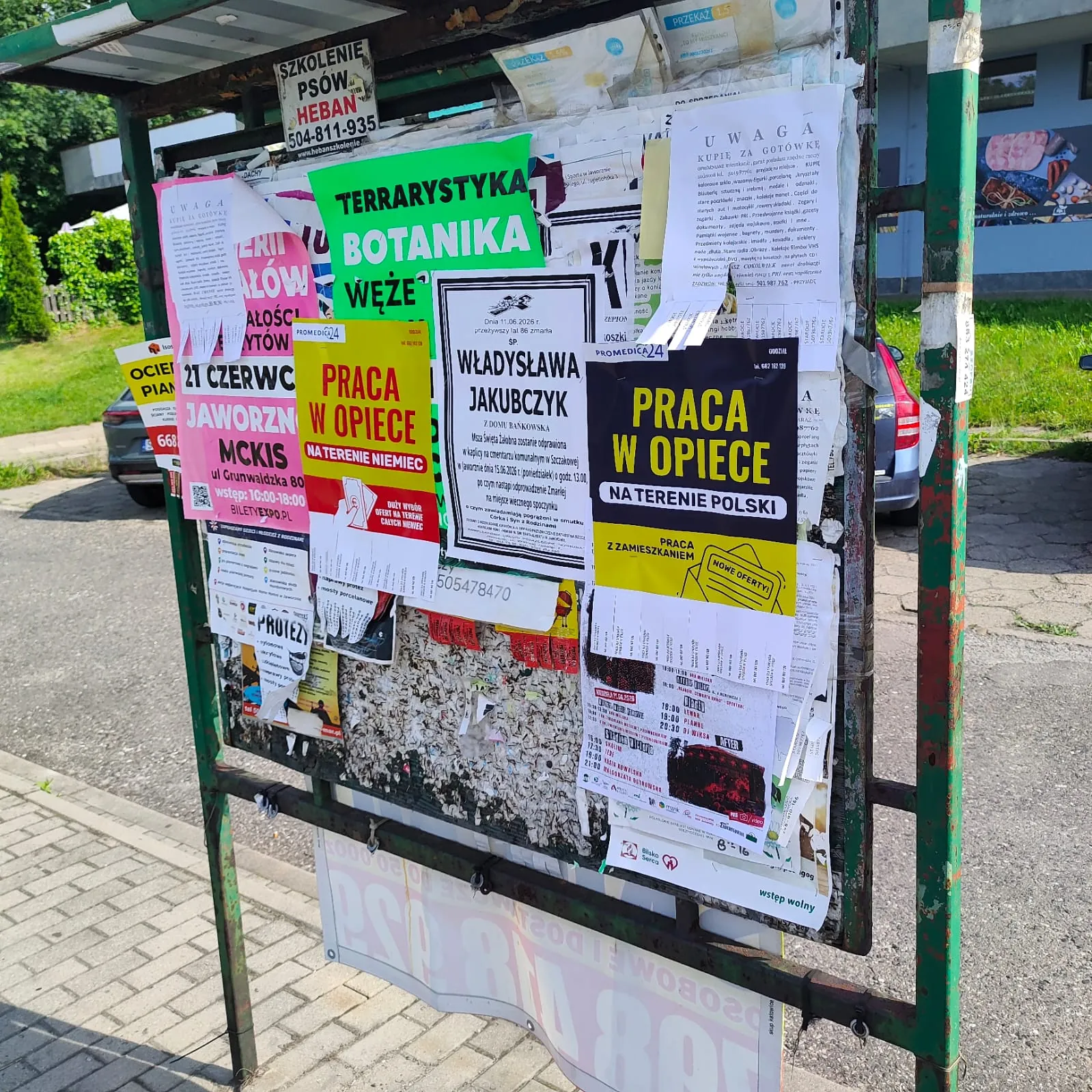 Praca w opiece - plakat na słupie ogłoszeniowym w Jaworznie