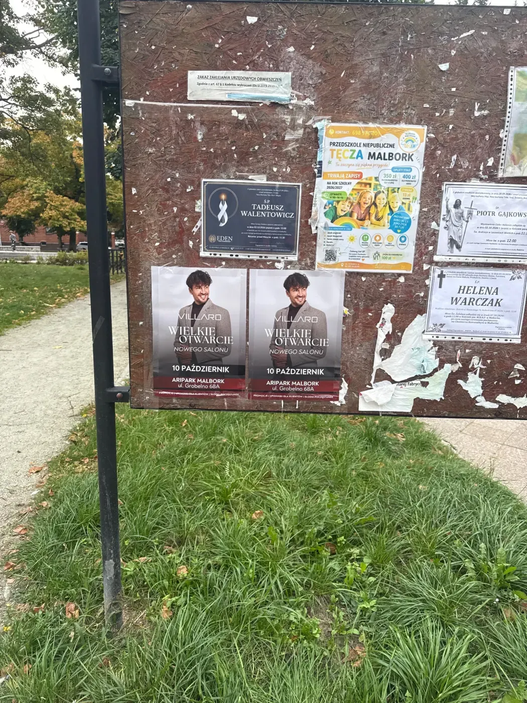 Dwa plakaty Wielkie Otwarcie VILLARO na tablicy ogłoszeniowej przy zieleni w Malborku