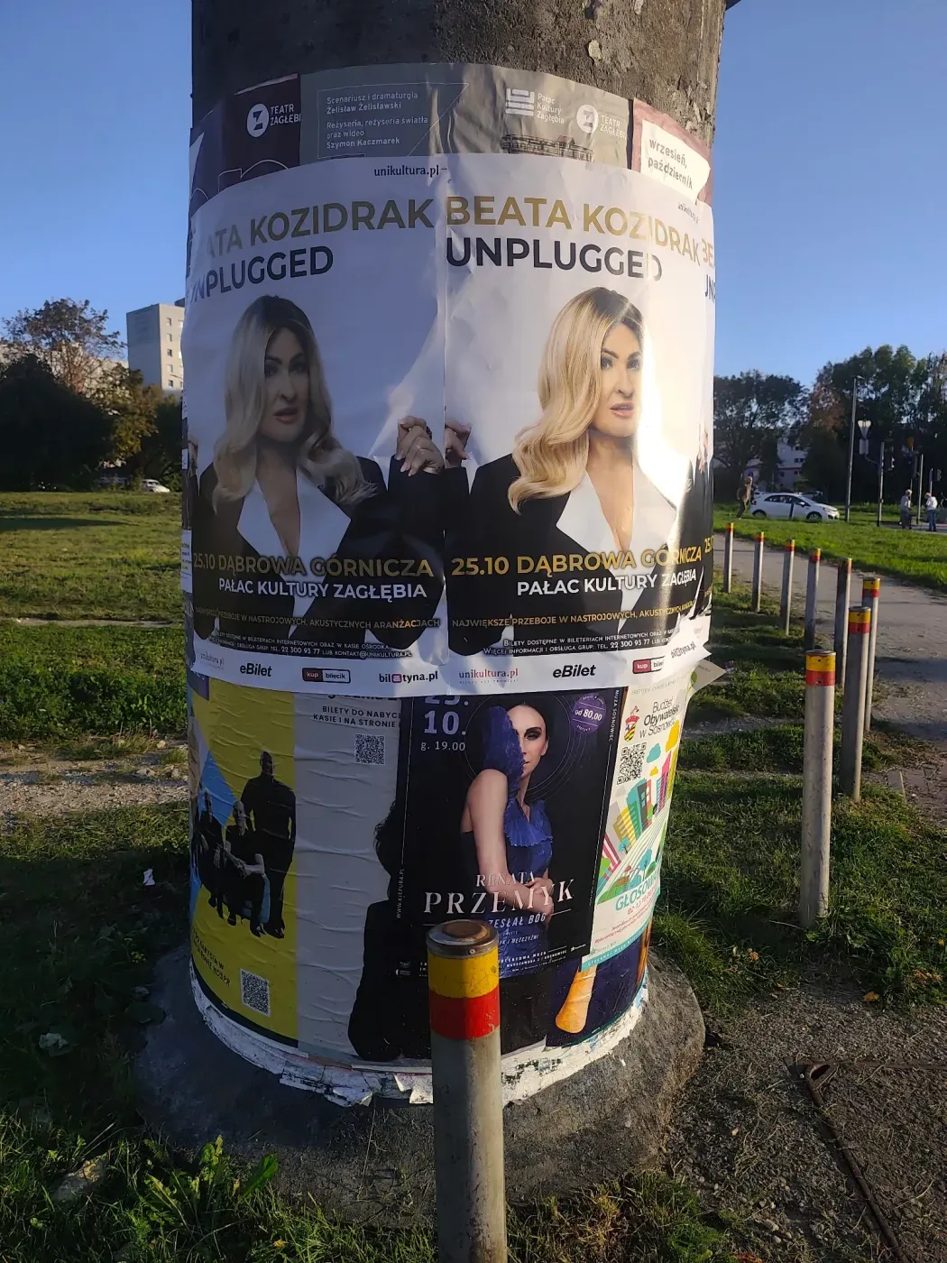 Beata Kozidrak Unplugged - plakatowanie w Sosnowcu