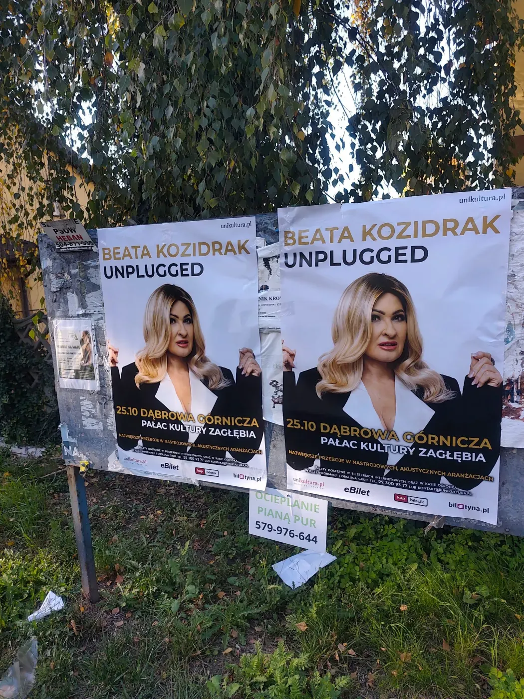 Dwa plakaty Beata Kozidrak Unplugged naklejone na miejskiej tablicy ogłoszeniowej pod drzewami
